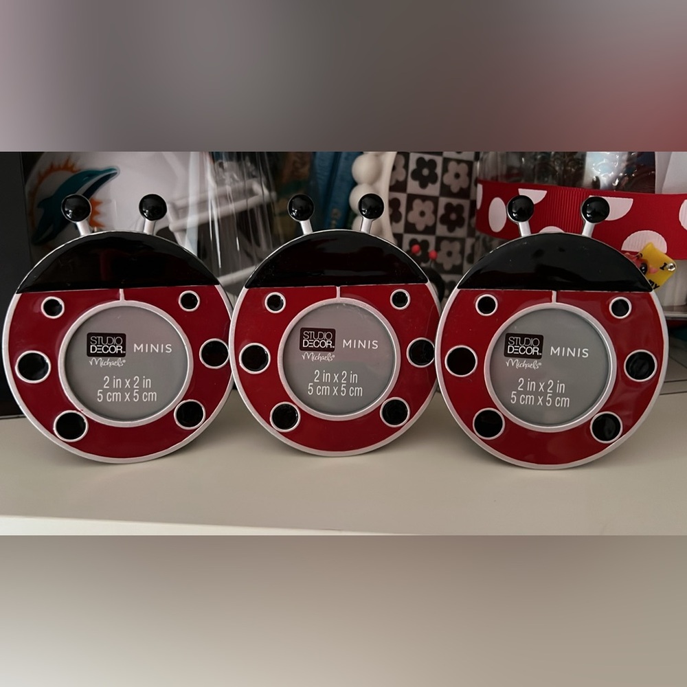 NWT Ladybug mini frame
